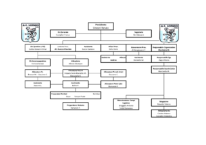 organigramma