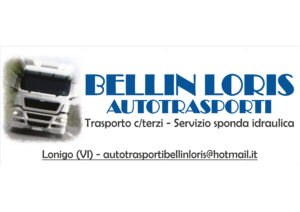 bellin loris autoricambi